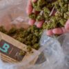 Boveda 62% 67 Gram Accessories Evertree 6