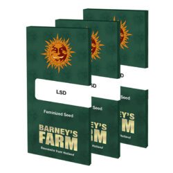 LSD Feminized Seeds | Barney’s Farm Cannabis Seeds Evertree