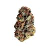 Dance World CBD Feminized | Royal Queen Seeds Cannabis Seeds Evertree 6