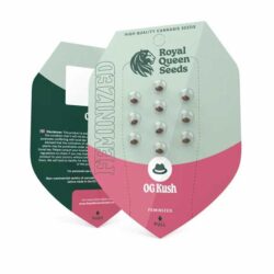 O.G. Kush Feminized | Royal Queen Seeds Cannabis Seeds Evertree
