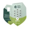 Quick One Autoflowering | Royal Queen Seeds Autoflower Seeds Evertree 2